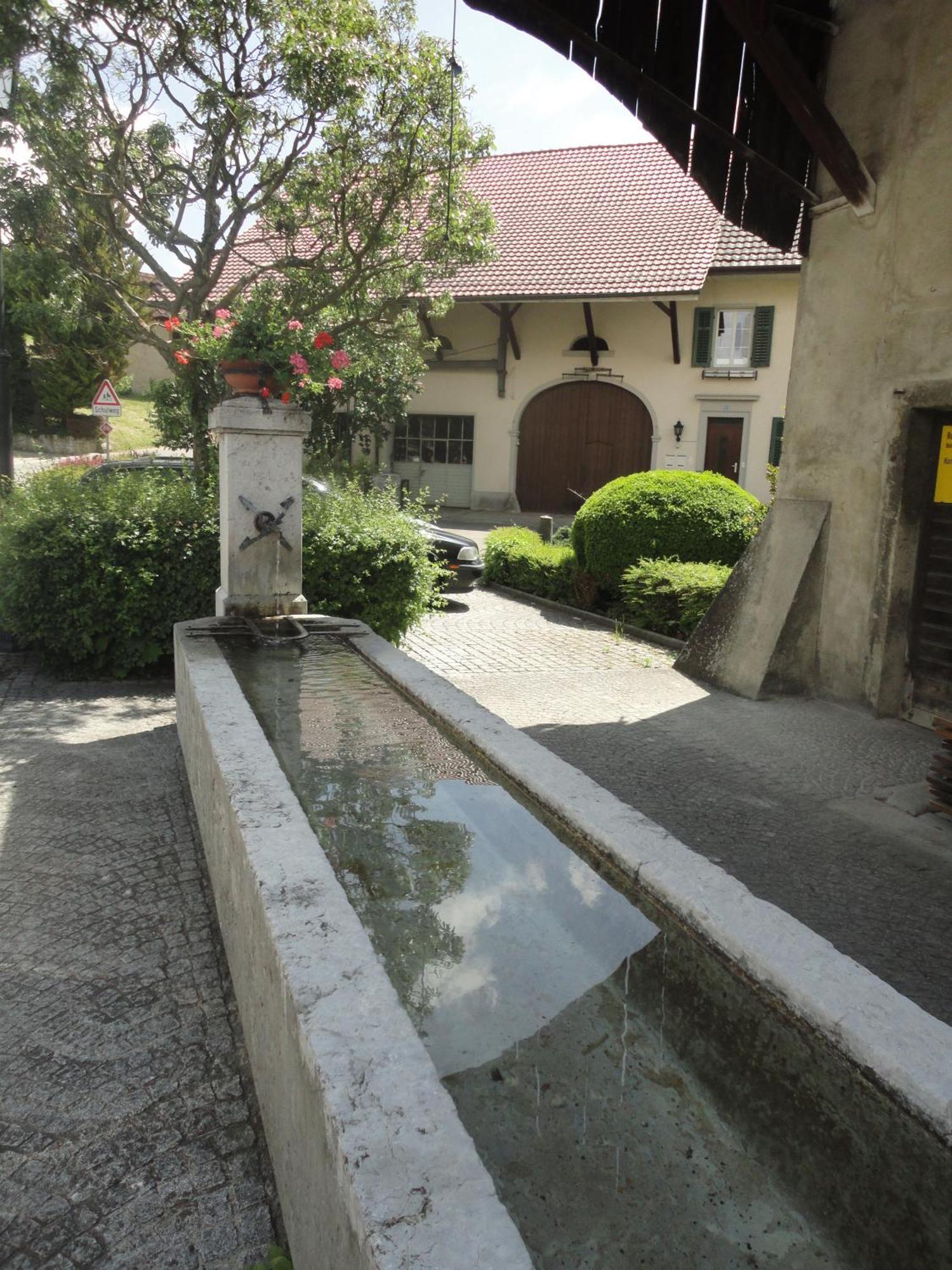 Hotel Gasthaus Hirschen Baden Eksteriør billede